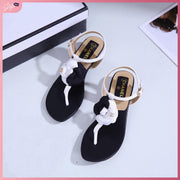 CC176 Casual Flat Thong Sandal Shoes StyleMoto White 35 