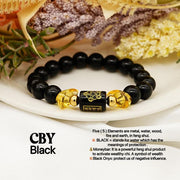 Lucky Five-Element Sign with Black Onyx Charm Bracelet StyleMoto Black 