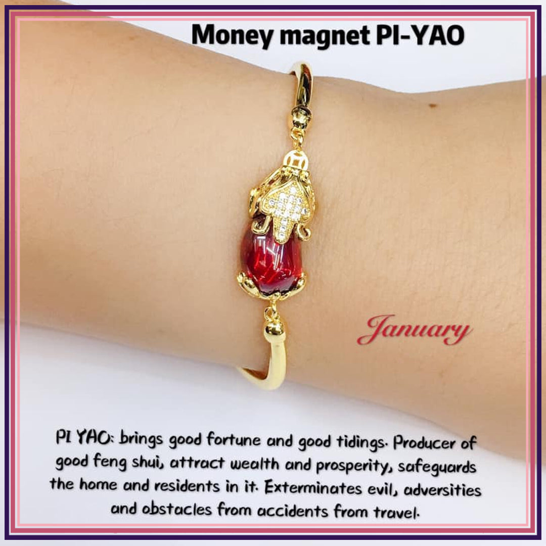 Money Magnet PI-YAO Lucky Crystal BIRTHSTONE Bracelet Bracelets StyleMoto January 