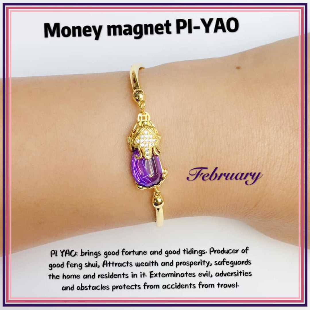 Money Magnet PI-YAO Lucky Crystal BIRTHSTONE Bracelet Bracelets StyleMoto February 